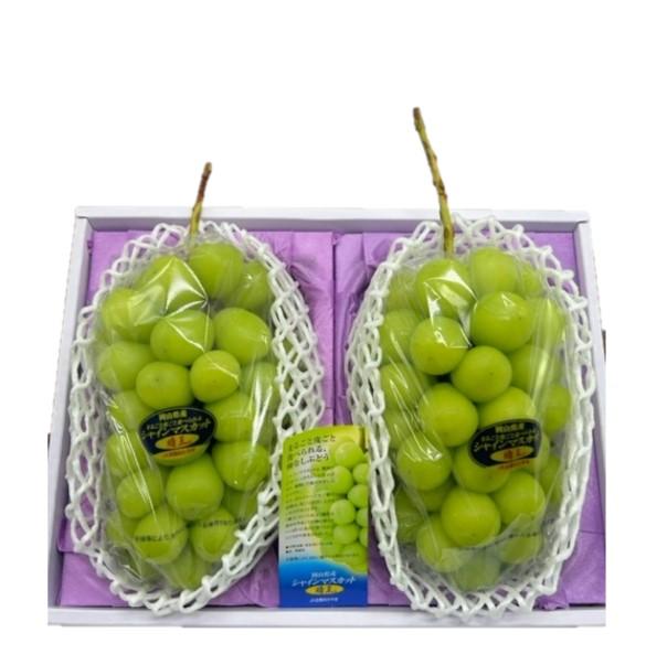 2026年  岡山県産　シャインマスカット『晴王』2房(1房480g以上) 化粧箱入り