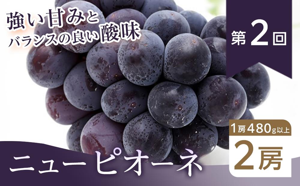 【全3回コース】2026年  岡山県産　旬のフルーツ定期便