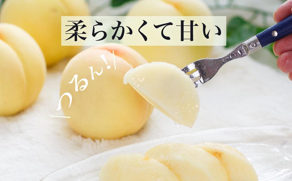 桃 ぶどう 2026年 果物 詰合せ 白桃 2玉（1玉220g以上）ニューピオーネ 2房（1房480g以上）化粧箱入り もも 葡萄 岡山県産 国産 フルーツ 果物 ギフト