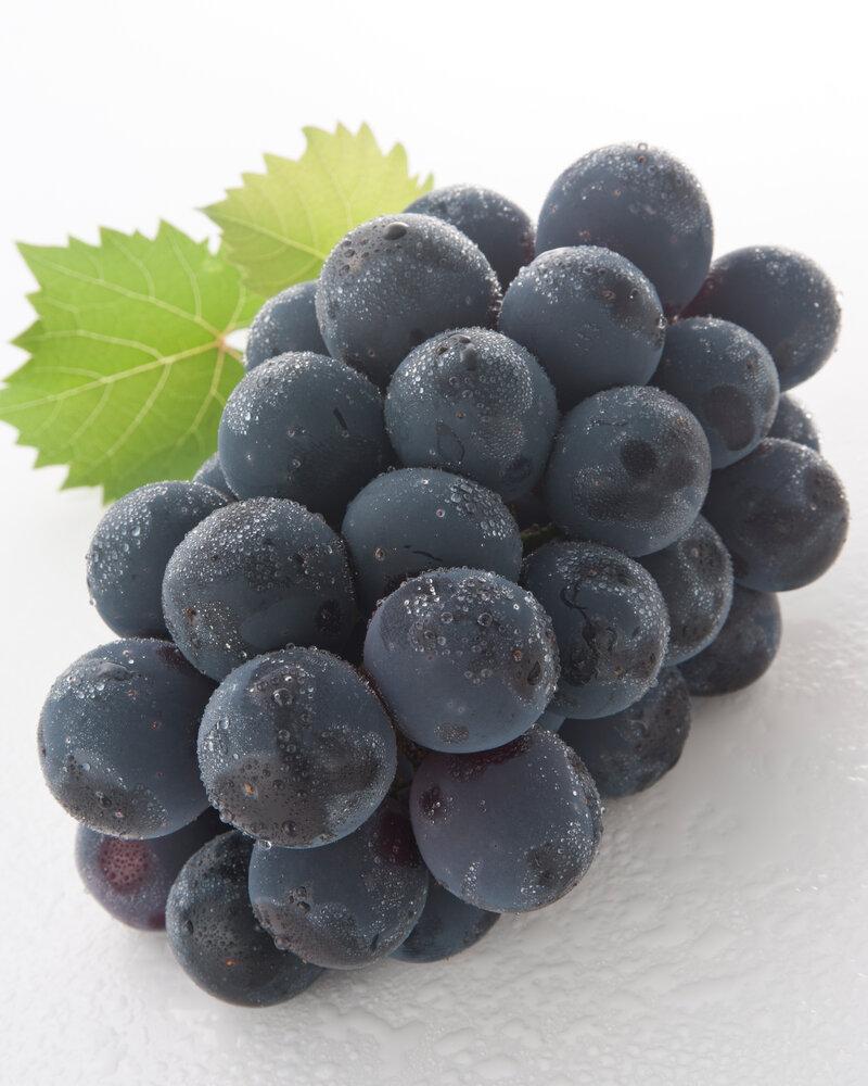 ぶどう 2026年 岡山県産 詰合/ニューピオーネ1房(480g以上)・シャインマスカット『晴王』1房(480g以上) 化粧箱入り