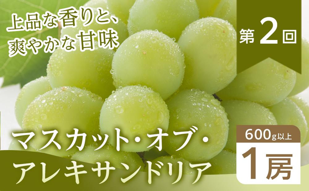 フルーツ 2026年【全6回コース】晴れの国岡山 フルーツ定期便