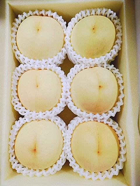 フルーツ 2026年 岡山県産 桃 食べ比べ 定期便 2回コース（白桃・黄金桃）