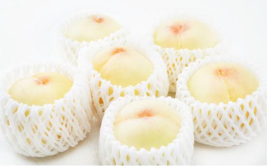 桃 定期便 2026年 晴れの国 岡山 の 白桃 ×2回 お届け 1回目 白桃 6玉（1玉250g以上）／2回目 白桃 6玉（1玉300g以上） 化粧箱入り もも モモ 岡山産 国産 フルーツ 果物 ギフト