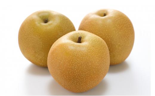 フルーツ 定期便 2026年 晴れの国 岡山 の フルーツ 定期便 4回コース 桃 ぶどう いちご 岡山県産 国産 フルーツ 果物 ギフト