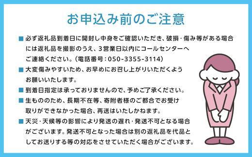定期便3回 ぶどう 2026年 晴れの国 岡山の シャイン マスカット 晴王 ×3回！(各1房) 葡萄 岡山県産 国産 フルーツ 果物 ギフト