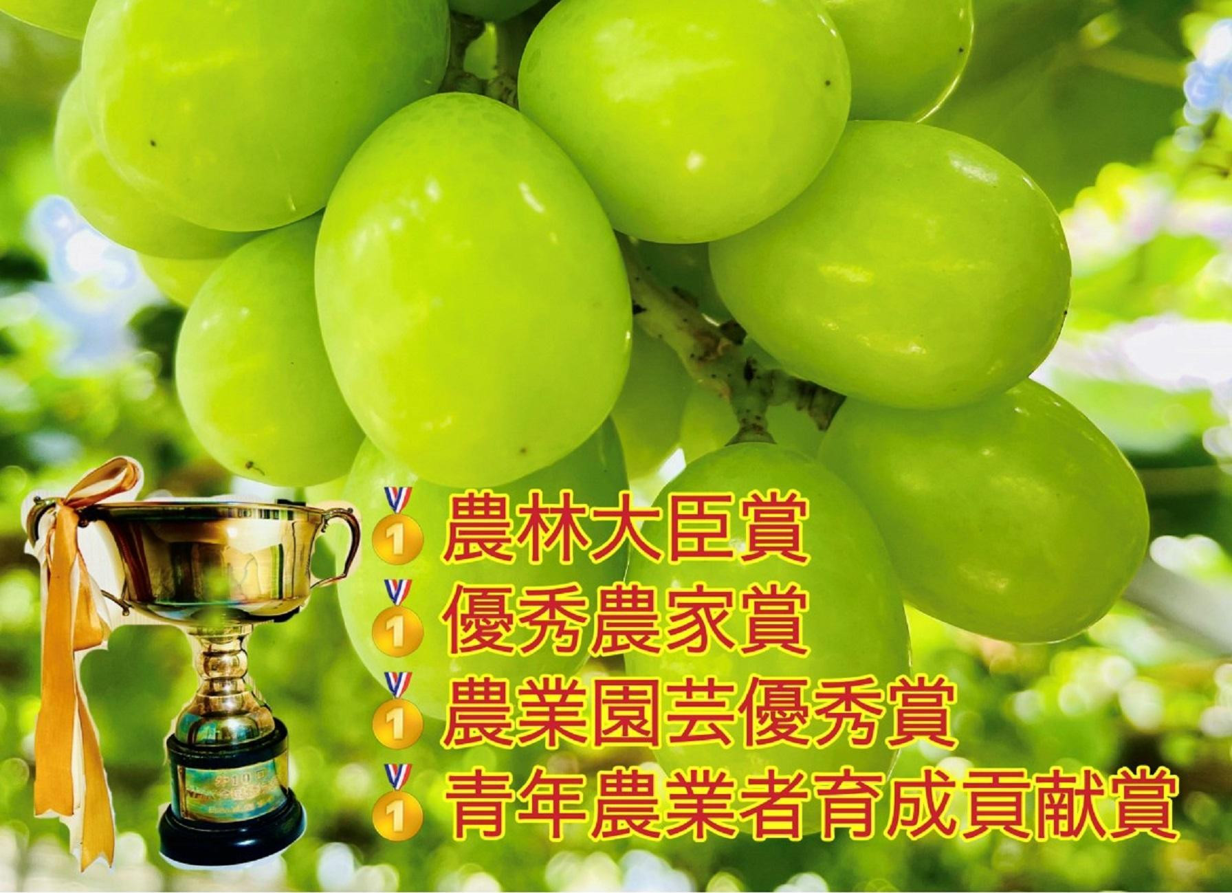 ぶどう2026年  岡山県産シャインＪｅｗｅｌｒｙ ｂｏｘ赤ゴールドリボン化粧箱入り18粒贈答用