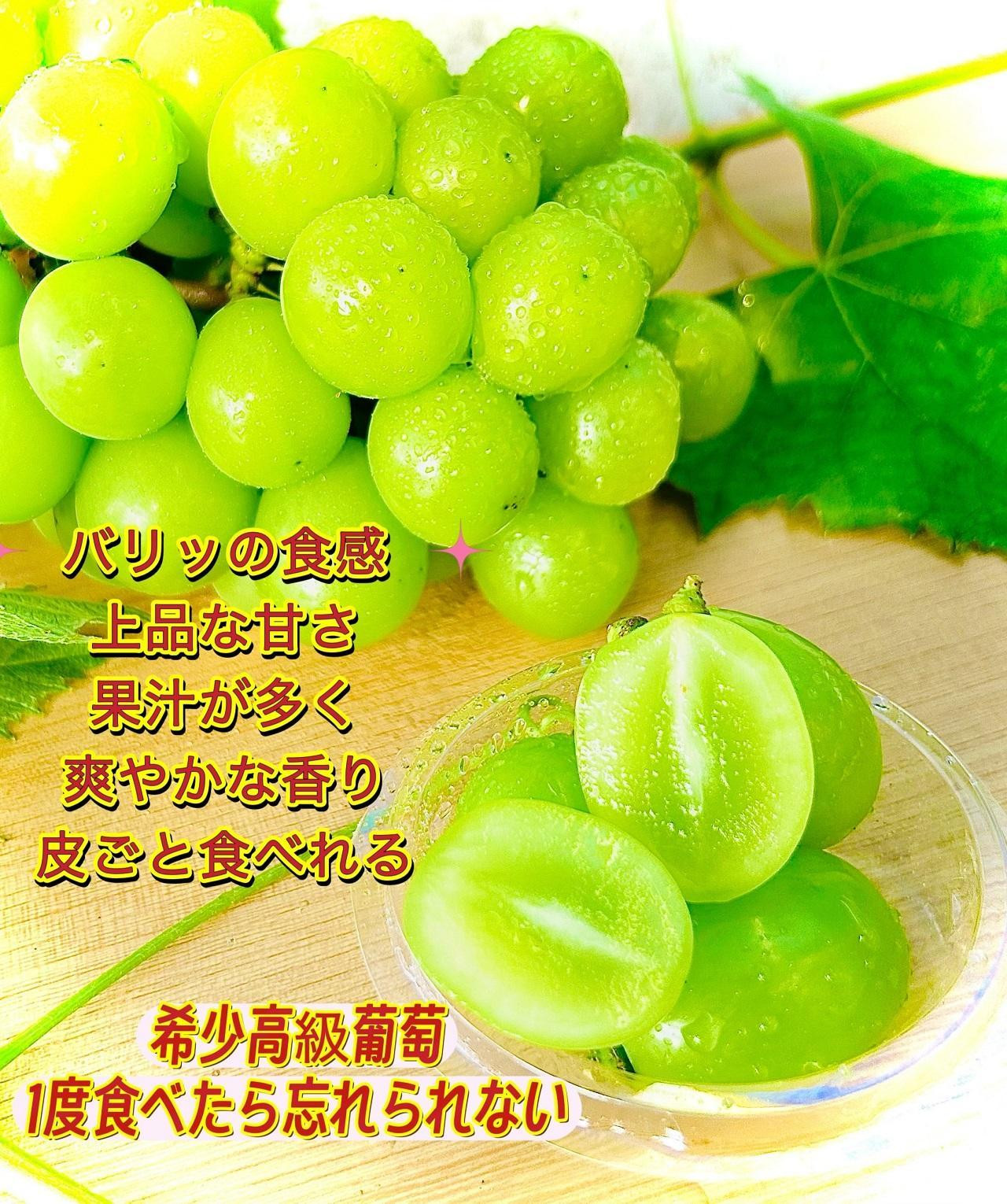 ぶどう2026年  岡山県産シャインＪｅｗｅｌｒｙ ｂｏｘ赤レッドリボン化粧箱入り18粒贈答用
