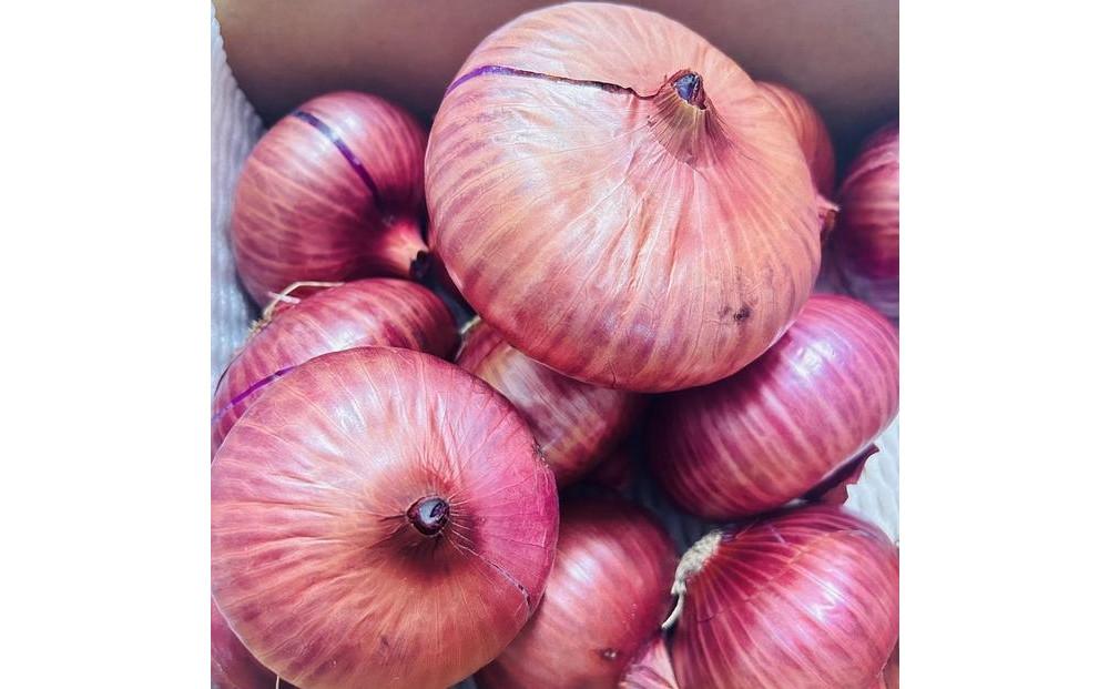 岡山市産 赤紫玉ねぎ3kg(サイズ混合)栽培期間中農薬・除草剤不使用自然の力健康野菜