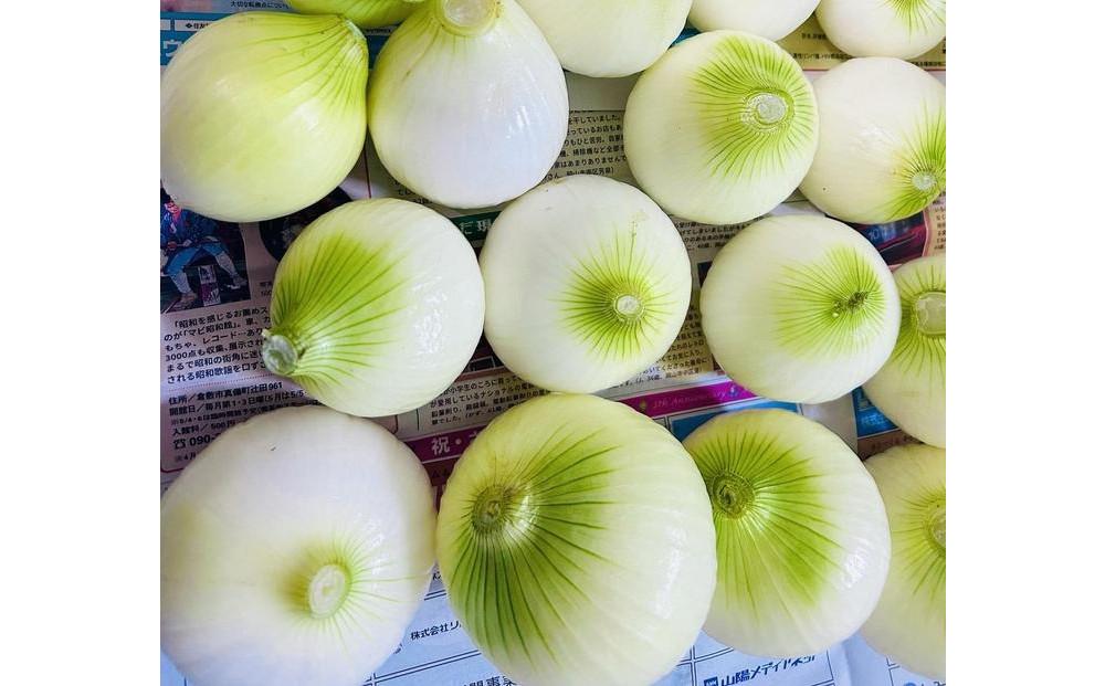 岡山市産 玉ねぎ5kg(サイズ混合)栽培期間中農薬・除草剤不使用全て自然の力健康野菜
