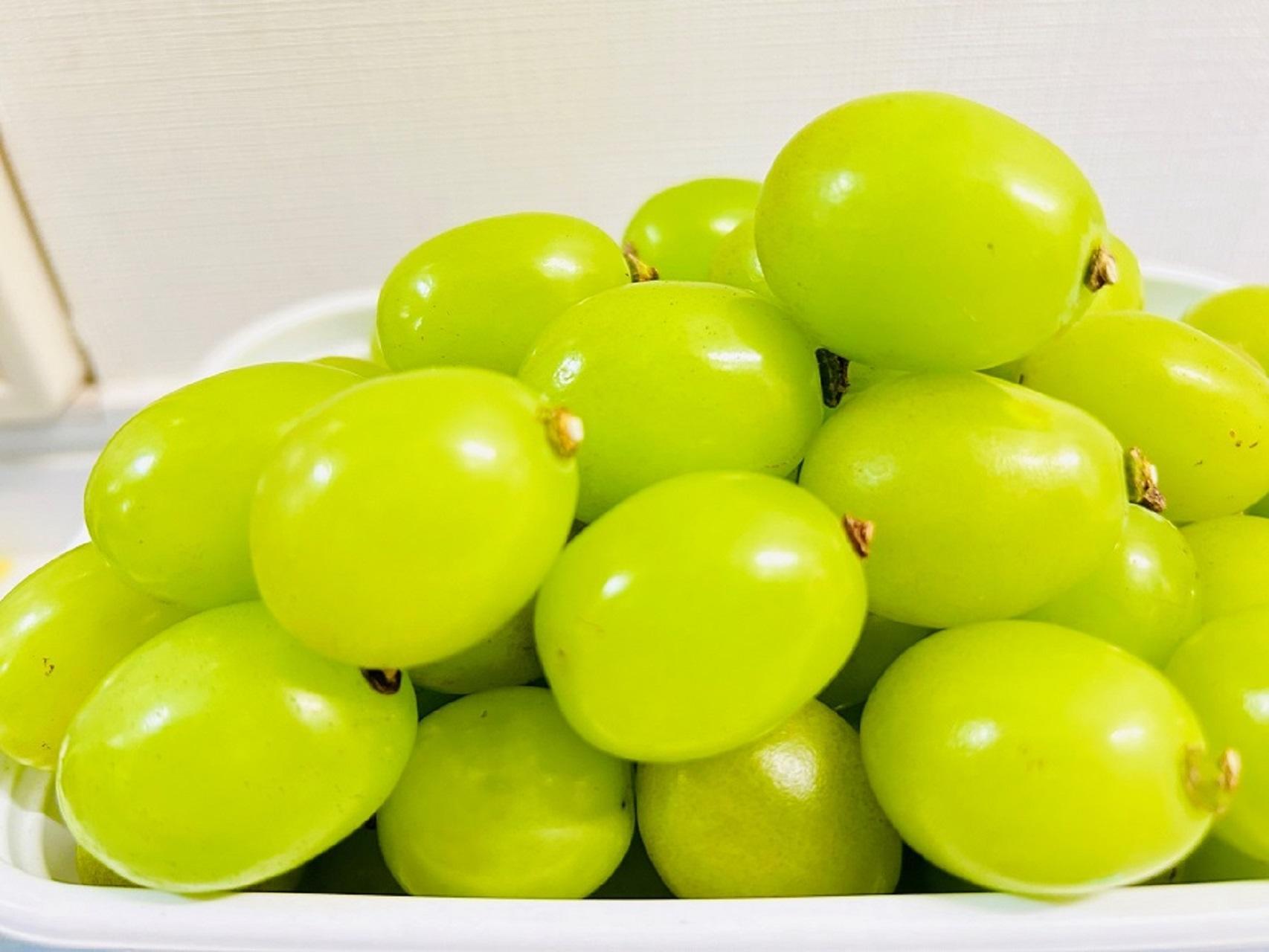 ぶどう2026年  シャインマスカット 秀品 粒だけ 約1kg 岡山 国産 果物 フルーツ  2026年6月下旬から発送