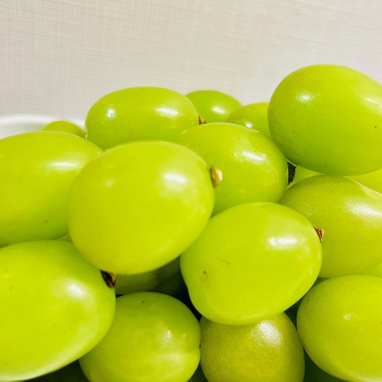 ぶどう 2026年  シャインマスカット 厳選 秀品 粒だけ 約2kg 岡山 国産 果物 フルーツ  2026年7月上旬から発送