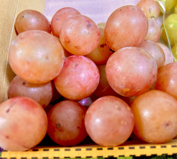 ぶどう2026年クイーンニーナ18粒入り化粧箱ゴールド