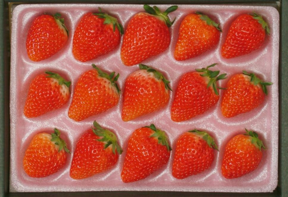 岡山市産 いちご 15粒（約350g）種類おまかせ