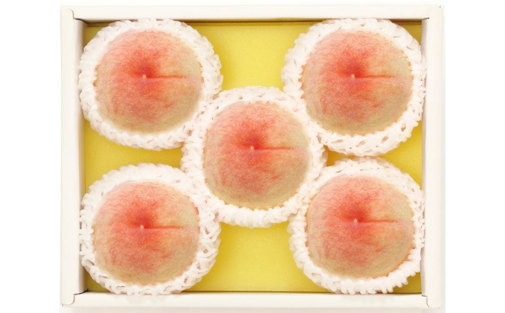 【定期便2回】白桃 4～6玉 約1.1kg（7月発送）・ニューピオーネ 1房 約600g（9月発送）【定期便 白桃 桃 もも モモ ニューピオーネ 葡萄 ぶどう ブドウ 果物 フルーツ 岡山県 倉敷市 おすすめ 人気】