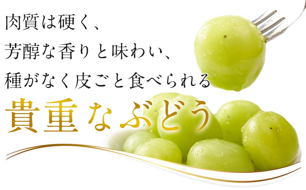 ぶどう 2025年  黒川農園 自慢 ! の 大粒 大房 シャイン マスカット 1房 700g以上 ブドウ 葡萄  岡山県産 国産 フルーツ 果物 ギフト