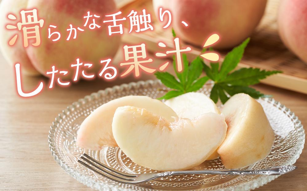 桃 2026年 清水 白桃 5～6玉入 約1.5kg 岡山市一宮地区産 もも モモ フルーツ 果物 ギフト