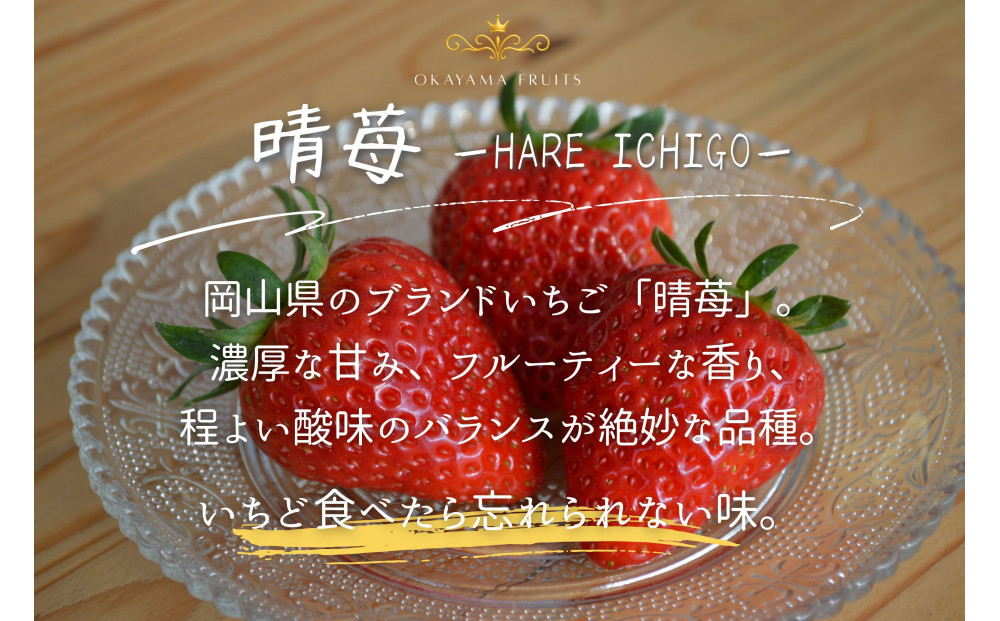 かもめファーム 晴苺 化粧箱 400g（9～15粒）岡山県産 いちご 秀品
