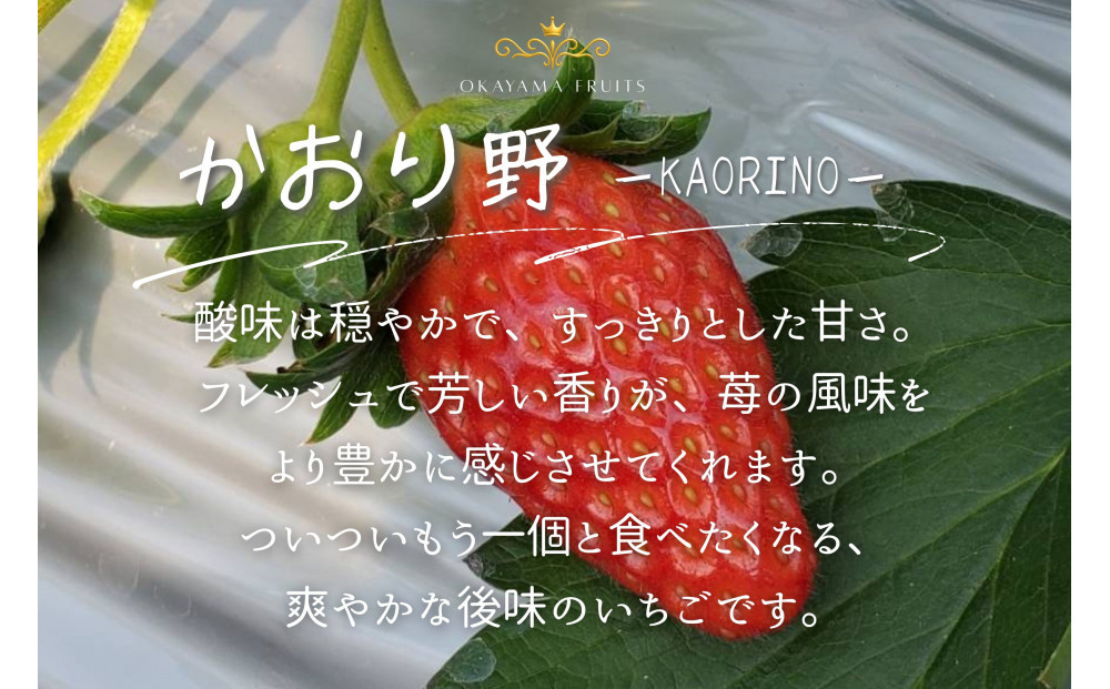 かもめファーム かおり野 化粧箱 400g（9～15粒）岡山県産 いちご 秀品