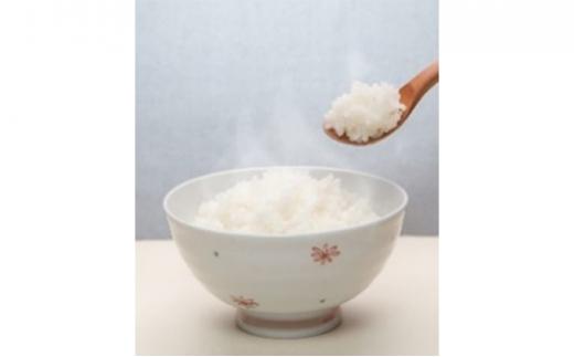 レスキュー ライス （7年保存アルファ化米）50食入 保存食 防災 お米 アケボノ 岡山県産