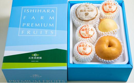 梨 2025年  備前横綱梨（あたご梨） 超大玉2玉（1玉1kg～1.4kg）・備前乙女梨（鴨梨） 4～6玉 詰合せ 合計4kg以上 贈答箱 岡山県産 フルーツ ギフト 石原果樹園