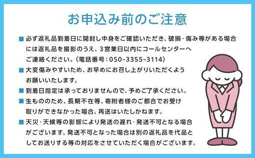 梨 2026年  あたご梨 1玉（約900g） 贈答箱赤秀【ナシ なし 岡山県産 国産 フルーツ 果物 ギフト 石原果樹園】