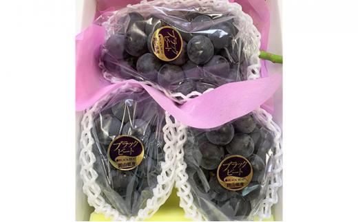 ぶどう 2026年 アントシアニン豊富な ブラックビート 3～6房 合計約2kg ブドウ 葡萄   岡山市産 国産 フルーツ 果物 渡邊農園