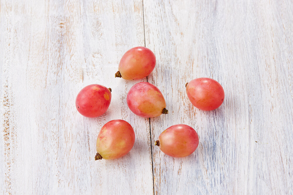 ぶどう 2026年  岡山市産 クイーンニーナ 粒（カップ）100g×12 渡邊農園