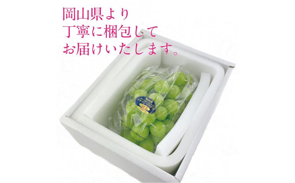[HS]ぶどう 2026年  9月・10月発送 シャイン マスカット 晴王 1房 約650g ブドウ 葡萄  岡山県産 国産 フルーツ 果物 ギフト