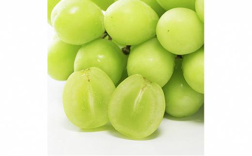 桃 ぶどう 2026年  清水 白桃 3玉合計 約900g （1玉約300g） シャインマスカット 晴王 1房 550g以上もも 葡萄 詰合せ 岡山 国産 フルーツ 果物 ギフト 桃茂実苑