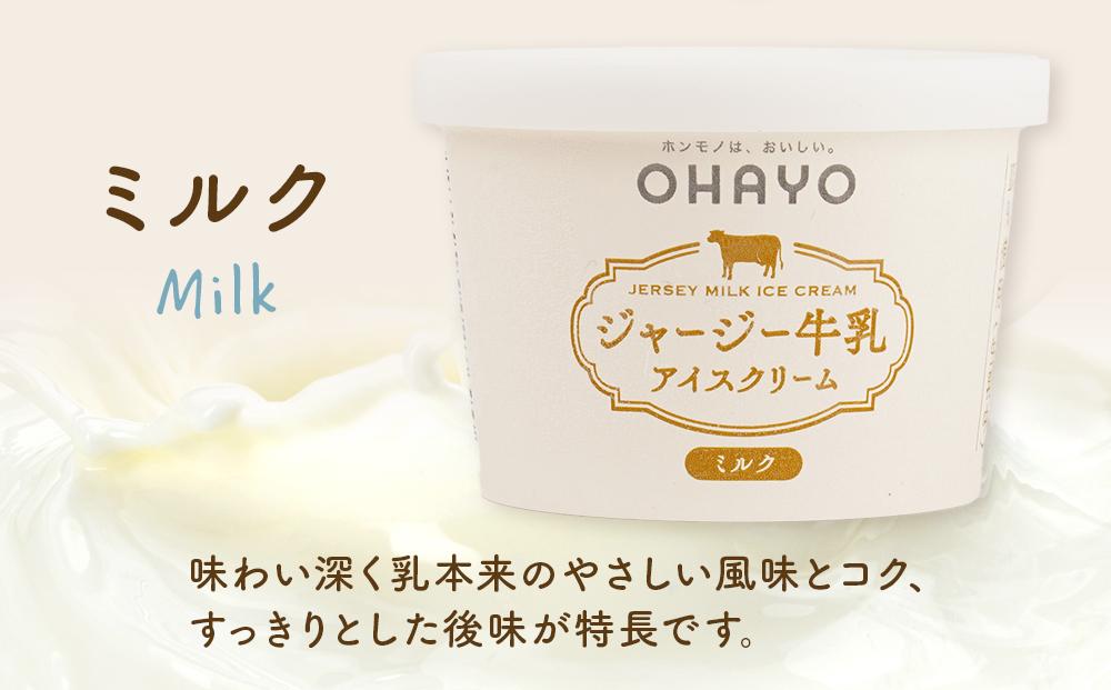 オハヨー乳業 ジャージー牛乳アイスクリーム 120ml×10個（ミルク・コーヒー）ギフト | アイス あいす ミルクアイス バニラ ばにら スイーツ デザート