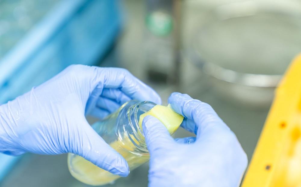 岡山県産 桃・ぶどう ジュレ 110g×4本セット