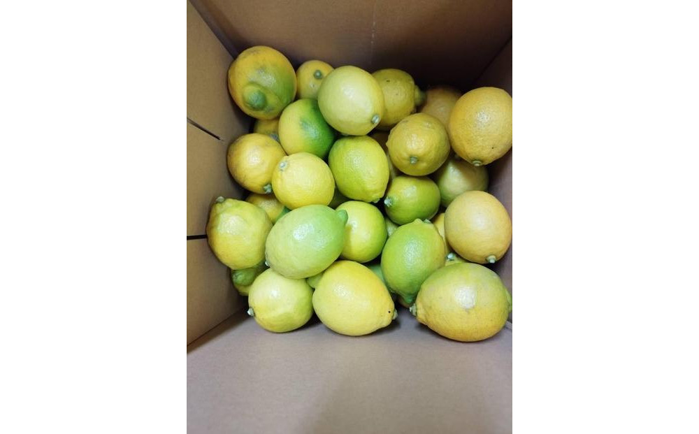 レモネード　900ml×3本セット