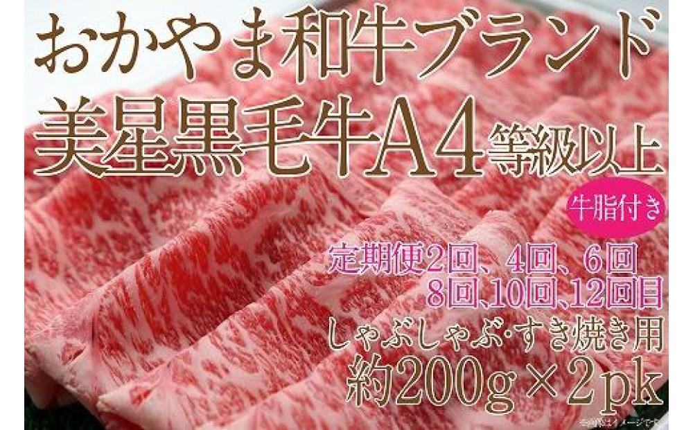 【定期便12か月】岡山　黒毛和牛　美星牛　A４等級以上　牛脂付き　１２か月定期便 合計約４８００g　 生産者直送便　美星牧場　定期便