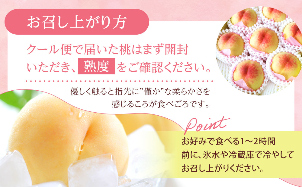 桃 2026年 贈答用 岡山 白桃  約2kg（5～7玉） もも モモ 岡山県 岡山市産 国産 フルーツ 果物 ギフト