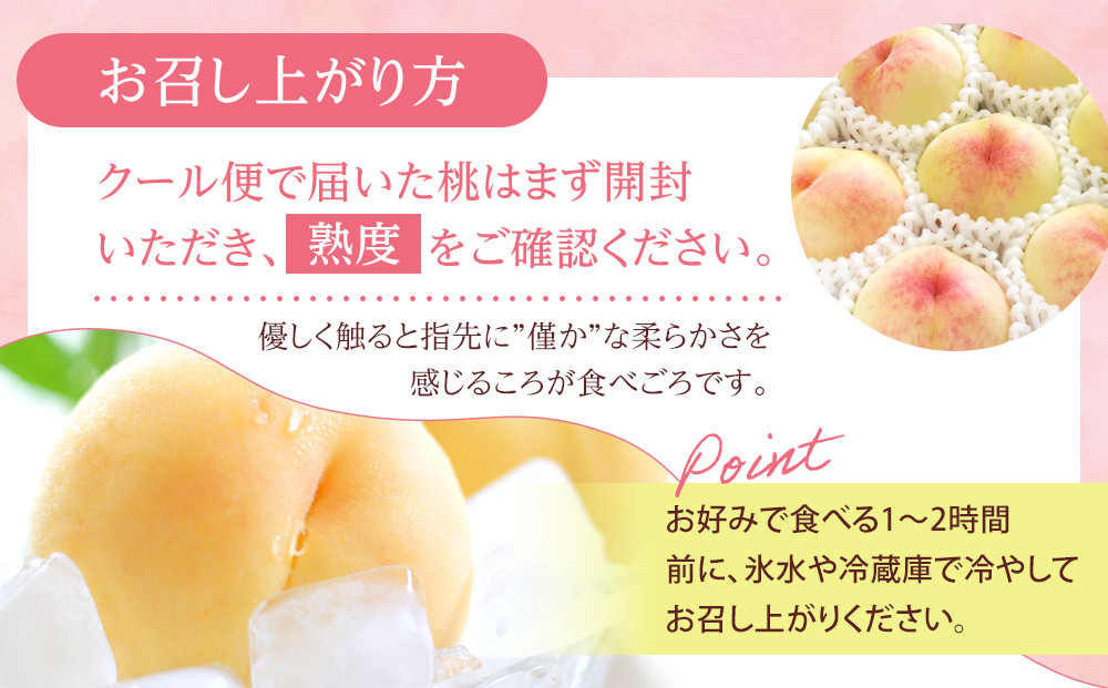 桃 2026年 ご家庭用 岡山 白桃  約2kg（5～10玉） もも モモ 岡山県 岡山市産 国産 フルーツ 果物