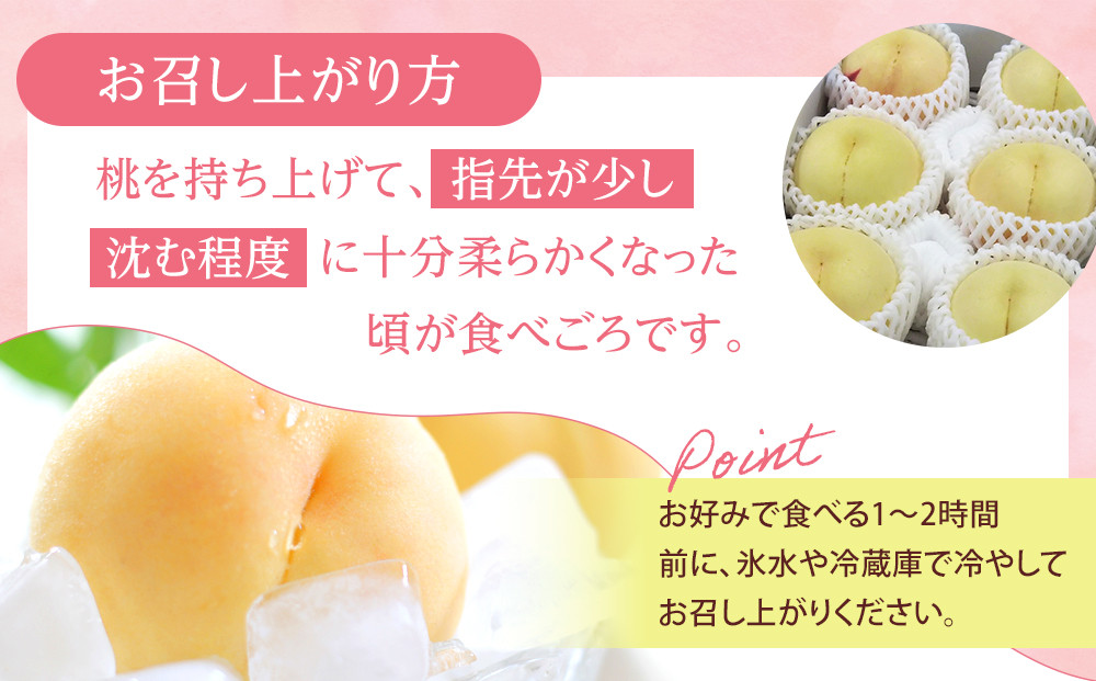 固めの 桃  2026年 ご家庭用 岡山 の 桃 晩生種 約2kg（5～9玉）（黄金桃の場合もあります） もも モモ 岡山県 岡山市産 国産 フルーツ 果物