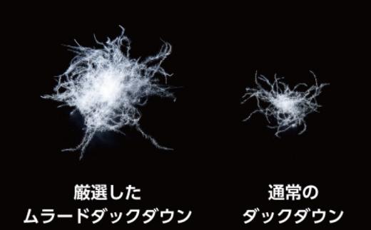 羽毛 布団 岡山市で作られた 羽毛合い掛けふとん ホワイトダック 93％ シングルサイズ 寝具