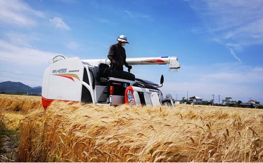 令和7年産 岡山西大寺の幸せもち麦(キラリモチ) 数量限定 2kg(1kg×2)