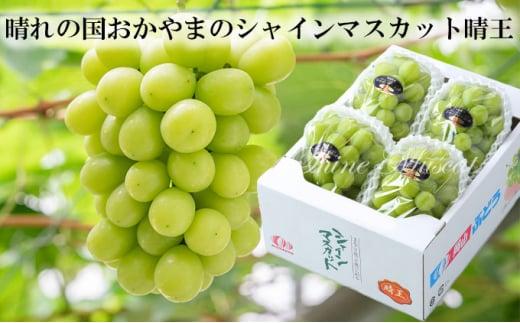 岡山県産 ぶどう 2026年発送 シャインマスカット 晴王 約2kg 3～6房 種無し ブドウ 葡萄 フルーツ 果物 ギフト