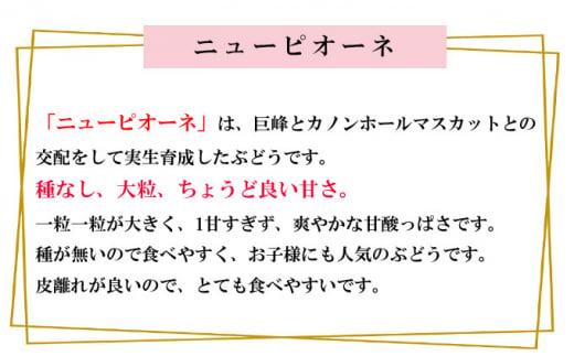 岡山県産 ぶどう 2026年  ニューピオーネ 約2kg 3～6房 種無し ブドウ 葡萄 フルーツ 果物 ギフト