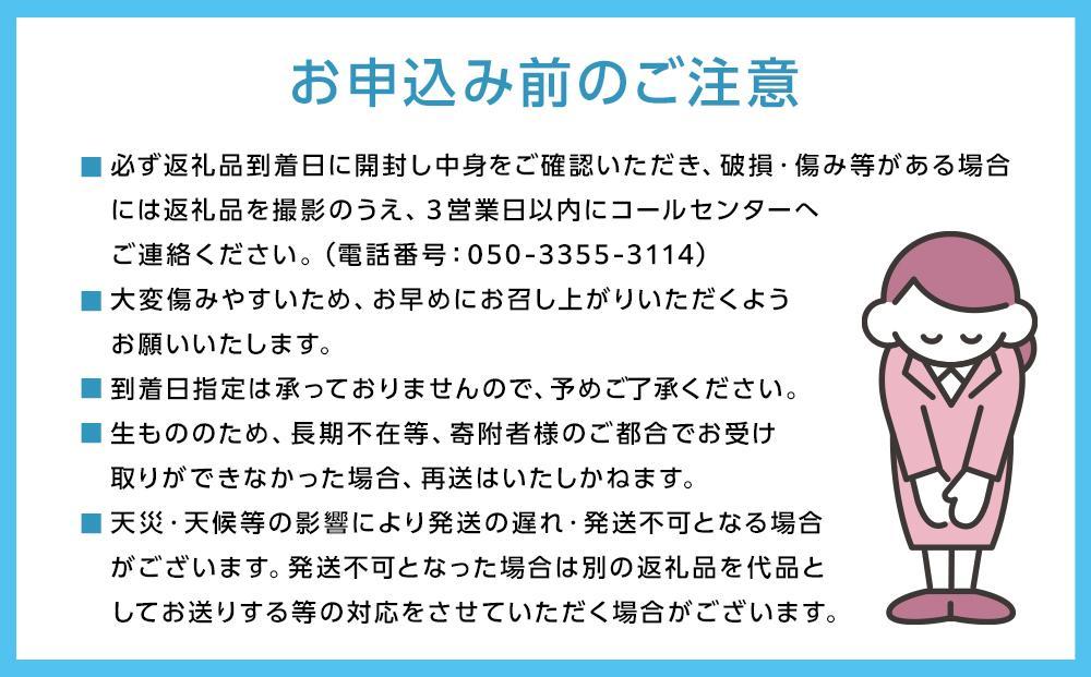 岡山県産 桃 岡山白桃 2026年 エース 3玉×約200g 計600g Lサイズ もも モモ フルーツ 果物 ギフト