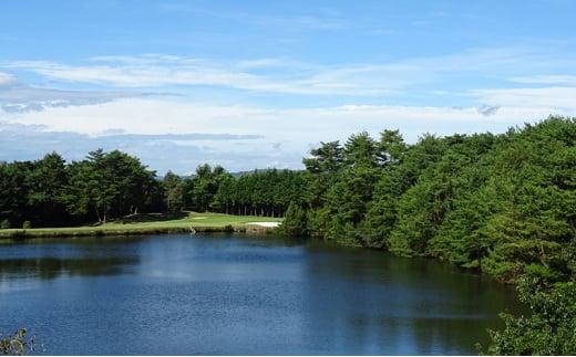 ゴルフ 岡山金陵カントリークラブ プレー割引券 3枚 ゴルフ 利用券 チケット ゴルフ場