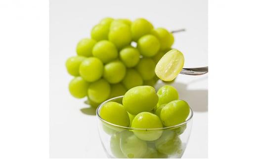 ぶどう［2025年］晴王 シャインマスカット 1房（700g以上）岡山県産