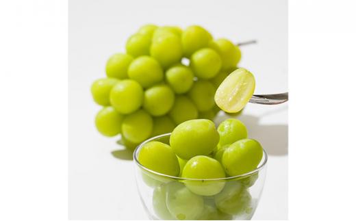 ぶどう［2025年］晴王 シャインマスカット 4房～9房（4kg以上）岡山県産