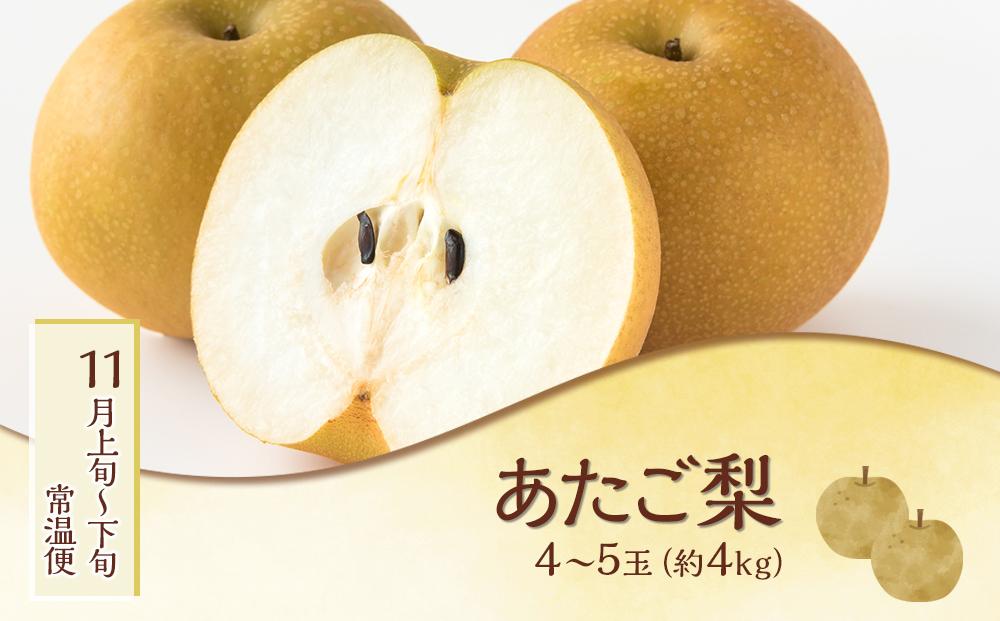 フルーツ 肉 2026年  晴れの国 おかやま の 旬のフルーツと A5等級 黒毛 和牛 5回 定期便 ぶどう 牛肉 梨 岡山県産 国産 ギフト