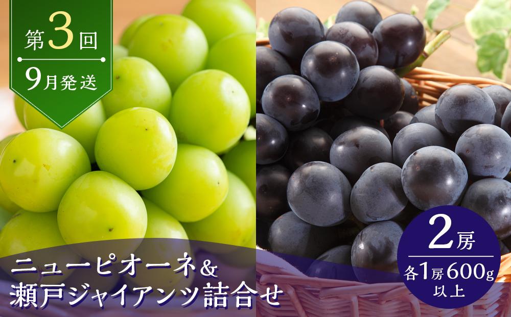 定期 2026年  フルーツ 王国 岡山の果物 定期便 6回コース 桃 ぶどう 梨 岡山県産 国産 果物 ギフト