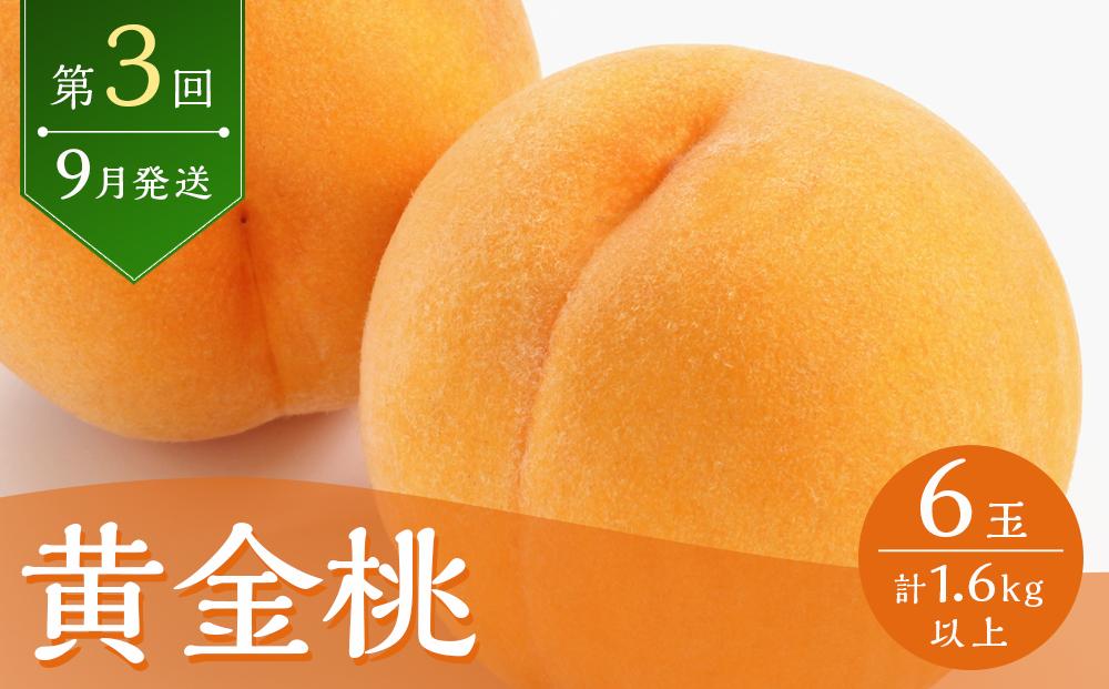 桃 2026年  岡山の旬の桃 定期便 3回コース もも モモ 岡山県産 国産 果物 ギフト