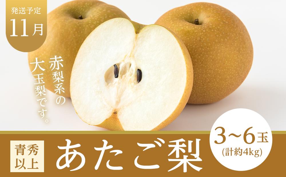 フルーツ 定期便 2026年  晴れの国 岡山県産 旬のフルーツ定期便 3回コース-(2) 桃 もも 葡萄 ぶどう 梨　なし　岡山県産 国産 セット ギフト