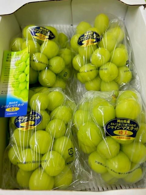 2026年  岡山県産　シャインマスカット『晴王』3～5房 (約2kg）