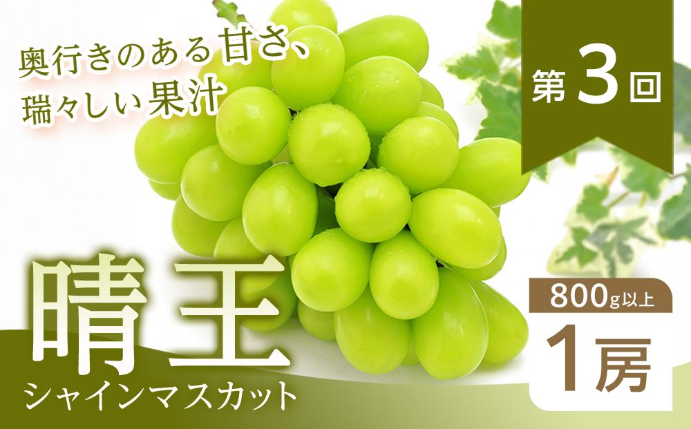 【全3回コース】2026年  岡山県産　旬のフルーツ定期便